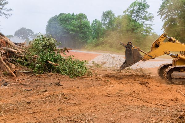 Ground Clearing in Sandy