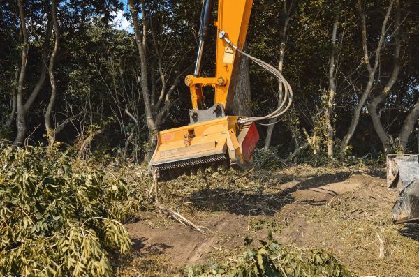 Brush Removal Service in Sandy