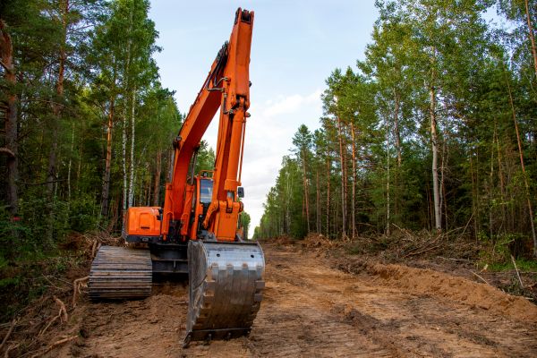Backhoe Land Clearing in Sandy